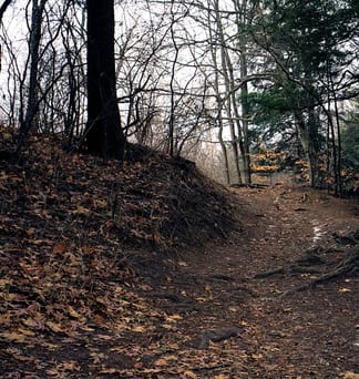 A leaf-covered path through a wooded ravine in Toronto.